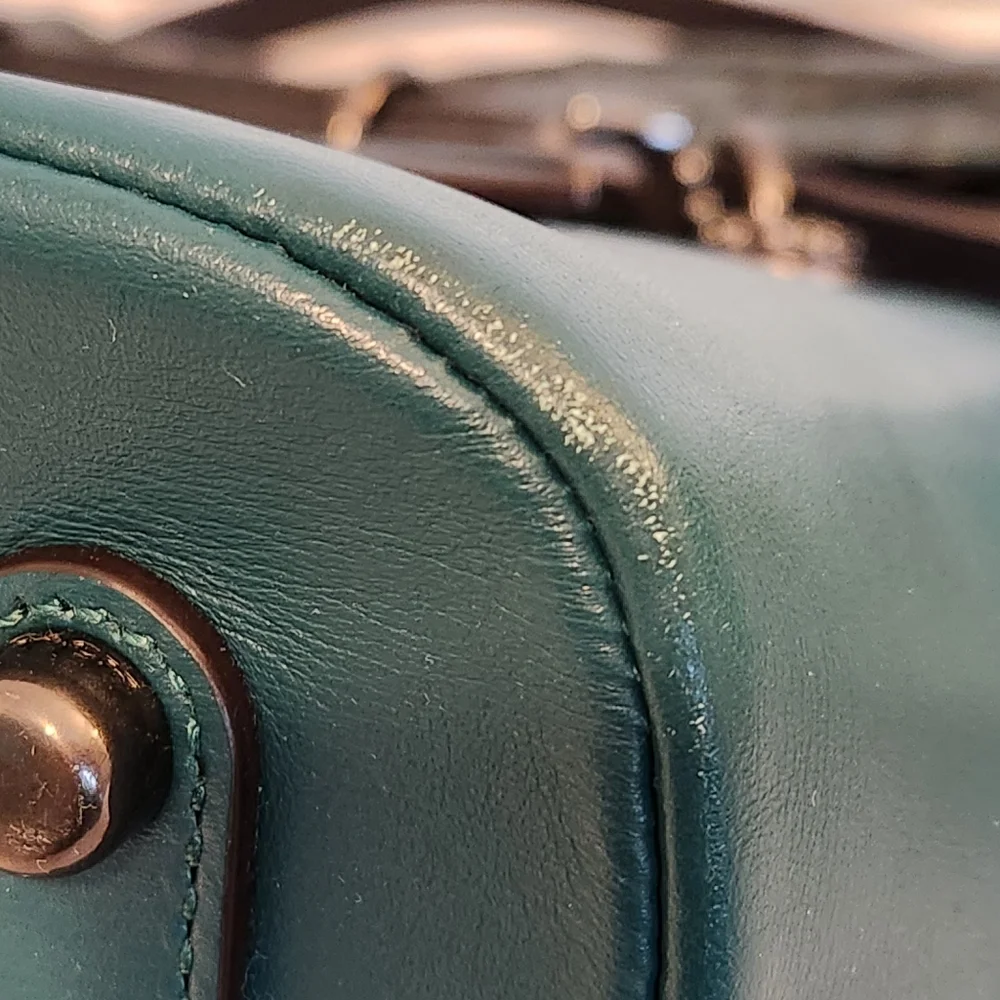 Coach Roxie with Snakeskin Quilting, Teal
